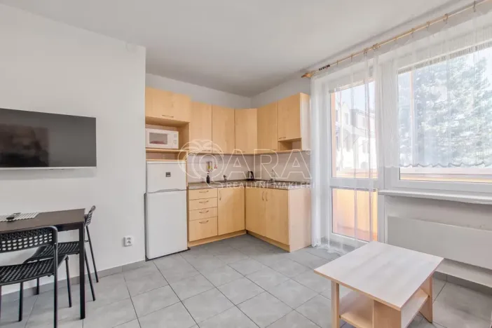 Pronájem bytu 1+kk, Trojanovice, 32 m2