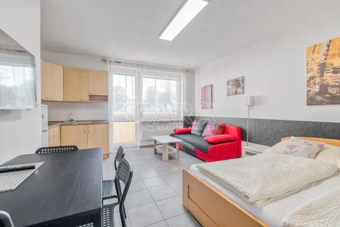 Pronájem bytu 1+kk, Trojanovice, 32 m2