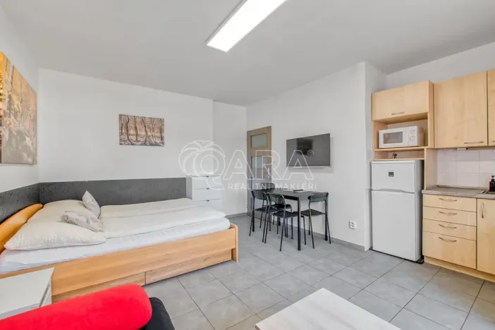 Pronájem bytu 1+kk, Trojanovice, 32 m2