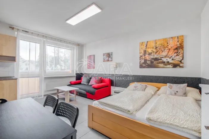 Pronájem bytu 1+kk, Trojanovice, 32 m2