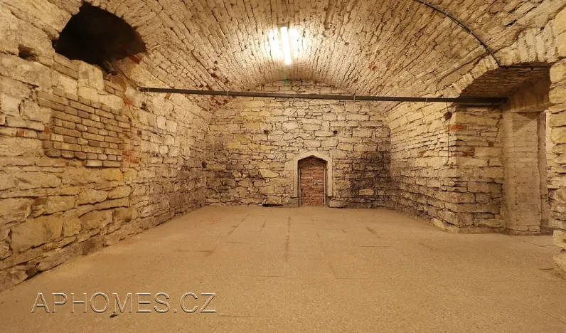 Pronájem skladu, Praha - Nové Město, Opatovická, 60 m2
