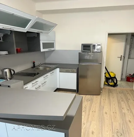 Pronájem bytu 1+1, 46 m², Thámova, Praha 8 - Karlín