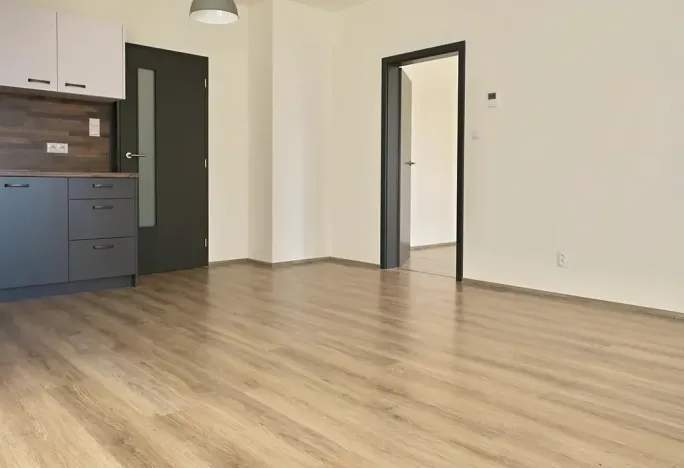 Pronájem bytu 2+kk, Brno, Novodvorská, 51 m2