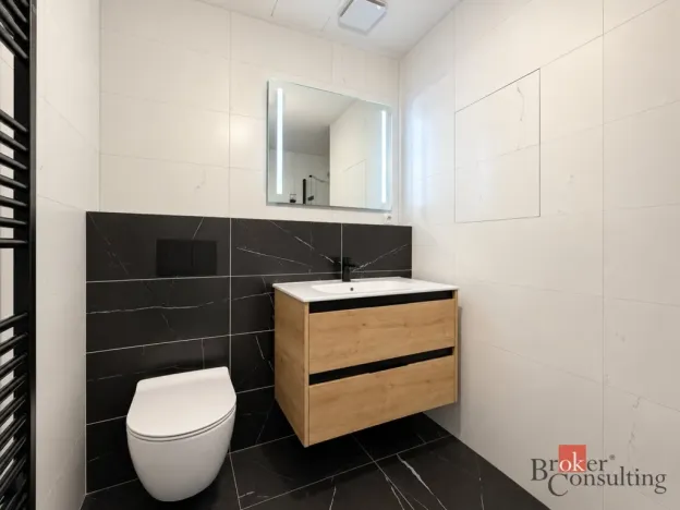 Prodej bytu 2+kk, Plzeň - Jižní Předměstí, Železná, 103 m2