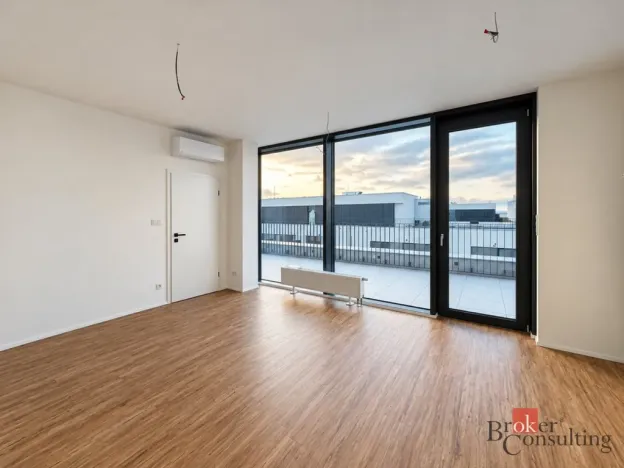 Prodej bytu 2+kk, Plzeň - Jižní Předměstí, Železná, 103 m2