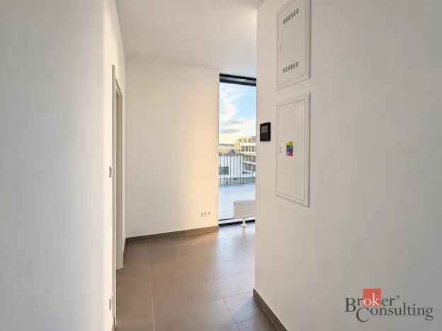 Prodej bytu 2+kk, Plzeň - Jižní Předměstí, Železná, 103 m2