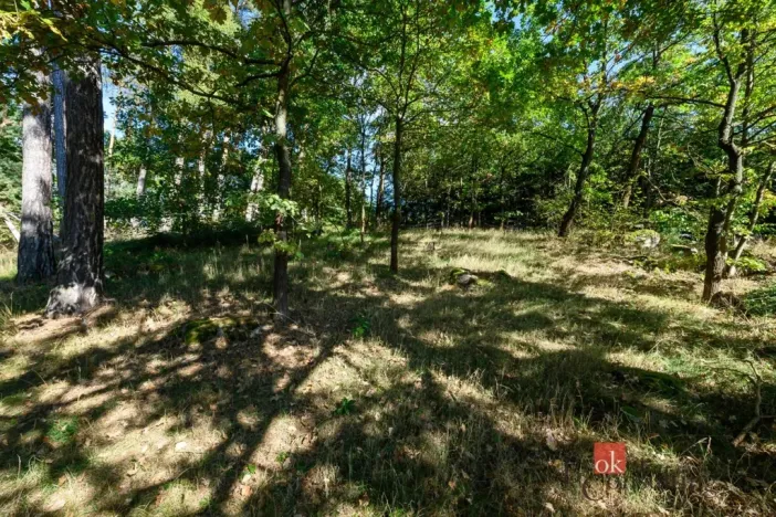 Prodej rodinného domu, Olšany, 240 m2