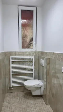 Pronájem bytu 1+kk, Přerov nad Labem, 30 m2