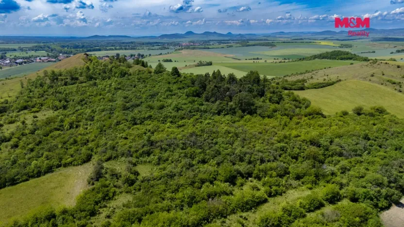 Prodej lesa, Libochovice - Dubany, 8199 m2