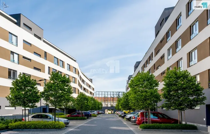Pronájem bytu 1+kk, Kolín - Kolín III, Václavská, 30 m2
