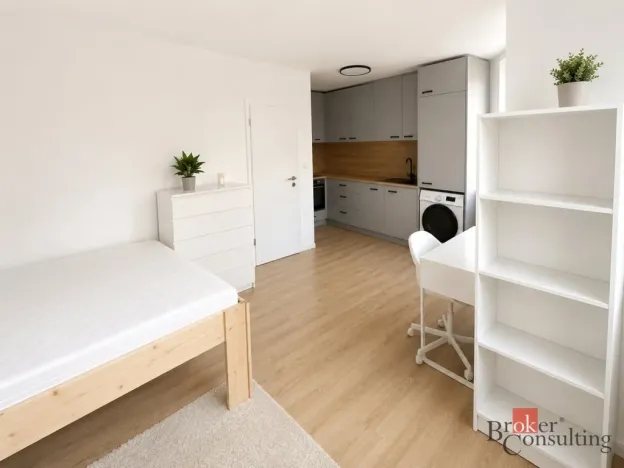 Pronájem bytu 1+kk, 25 m², Rolnická, Opava, Kateřinky
