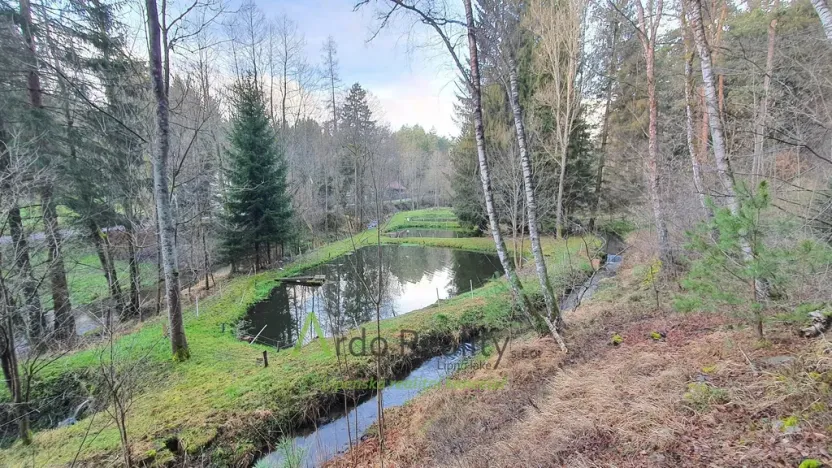 Prodej obchodního prostoru, Bohdalovice - Slubice, 649 m2