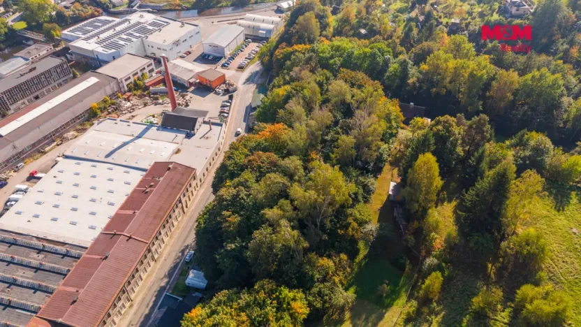 Prodej lesa, Úpice, 3640 m2