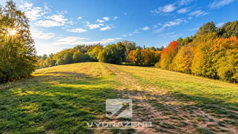 Prodej chalupy, Štěchovice - Třebenice, 50 m2
