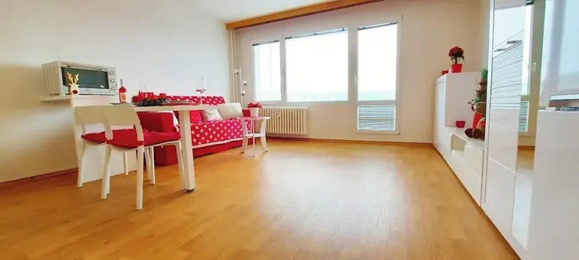 Pronájem bytu 1+kk, Brno, Sevastopolská, 38 m2