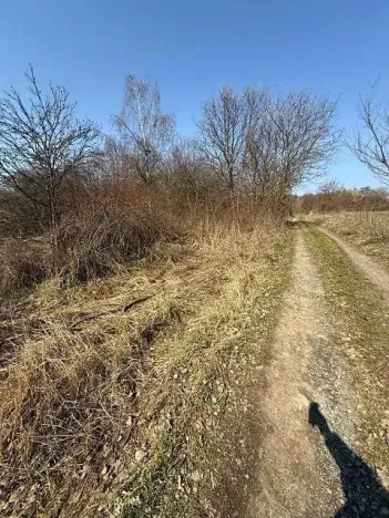 Prodej pozemku, Kostelec u Křížků, 651 m2