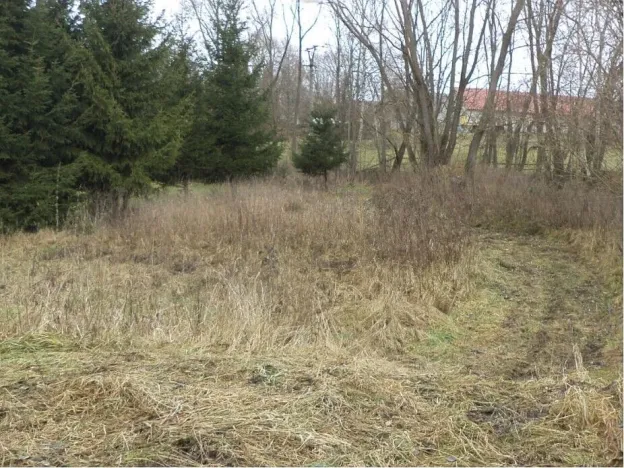 Prodej pozemku, Horní Planá, 1390 m2