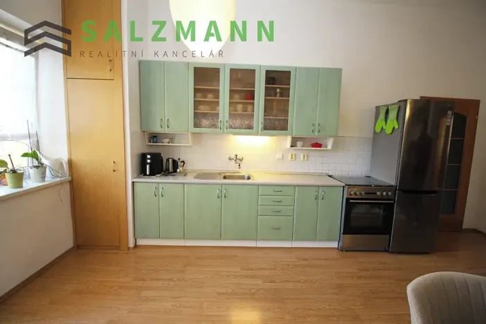 Pronájem bytu 2+kk, Plzeň, Rokycanská, 65 m2