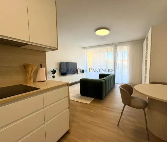 Pronájem bytu 1+kk, 40 m², U Hájenky, Slezská Ostrava