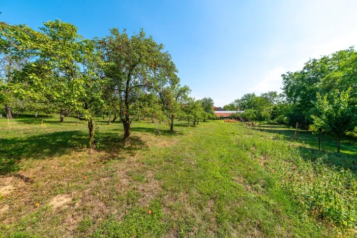 Prodej pozemku pro bydlení, Bařice-Velké Těšany, 1548 m2