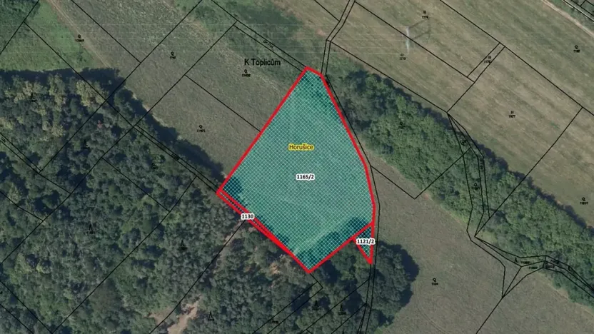 Prodej pozemku, 8636 m², Horušice