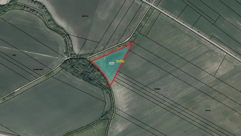 Prodej pozemku, 12734 m², Žiželice, Končice