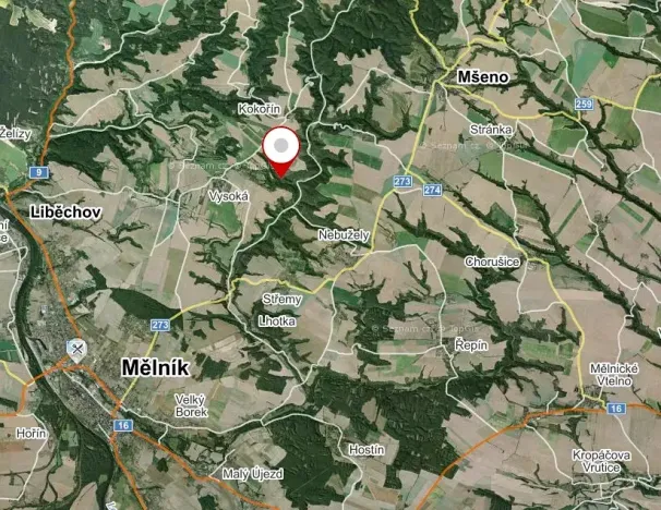 Prodej lesa, Vysoká, 12485 m2