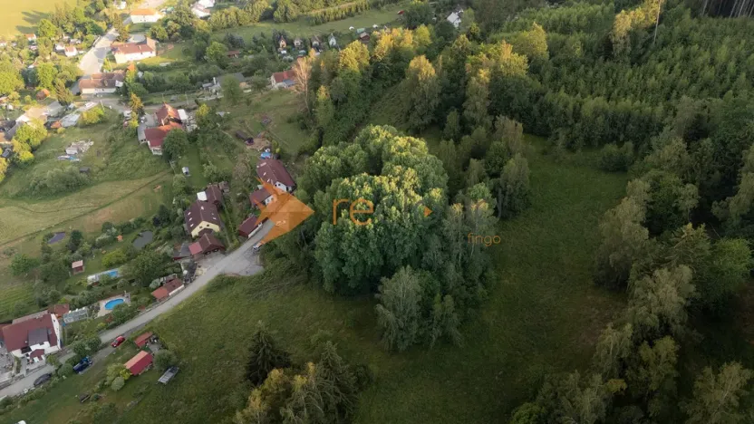 Prodej lesa, Větřní, 3373 m2