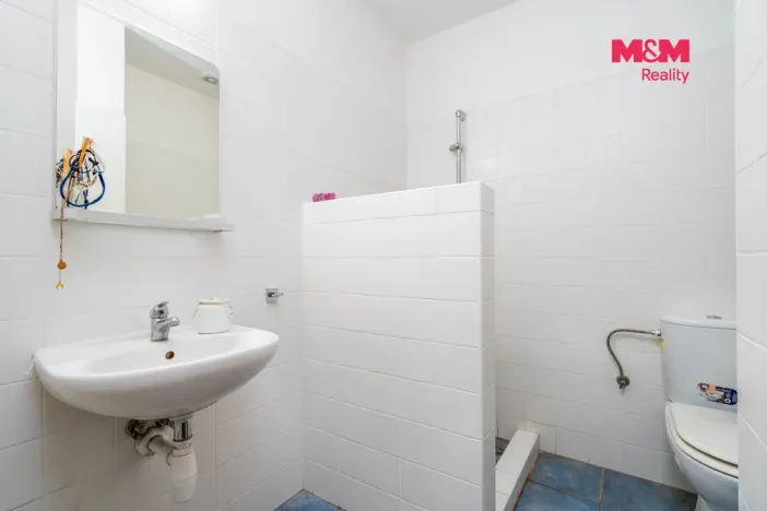 Prodej rodinného domu, Bednáreček, 440 m2