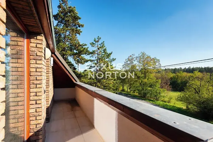 Prodej rodinného domu, Zvole, Hlavní, 378 m2