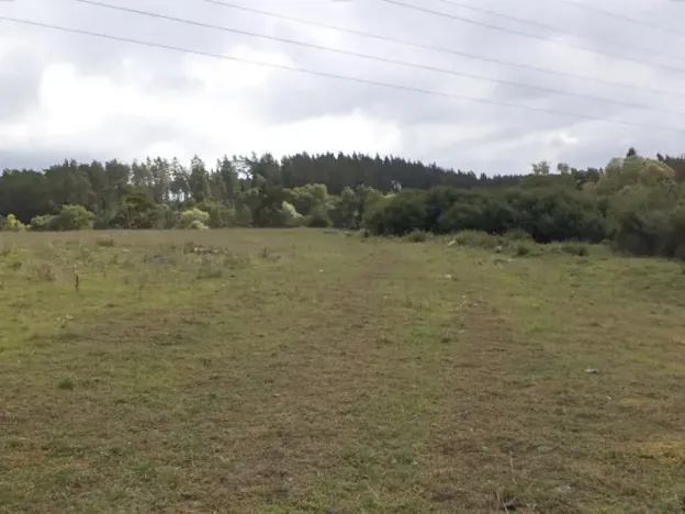 Dražba pole, Tachov, 3504 m2