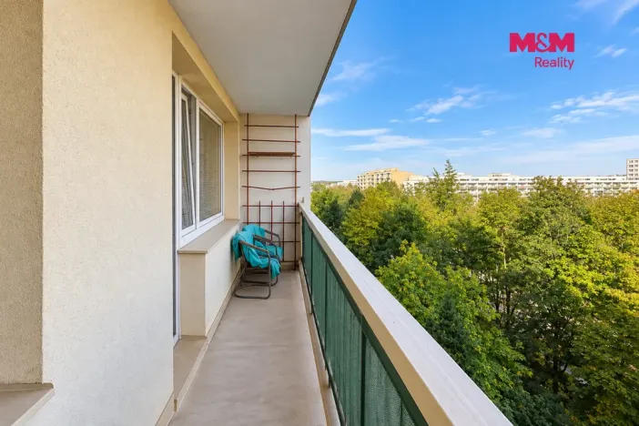 Prodej bytu 1+kk, Pardubice - Polabiny, kpt. Bartoše, 30 m2