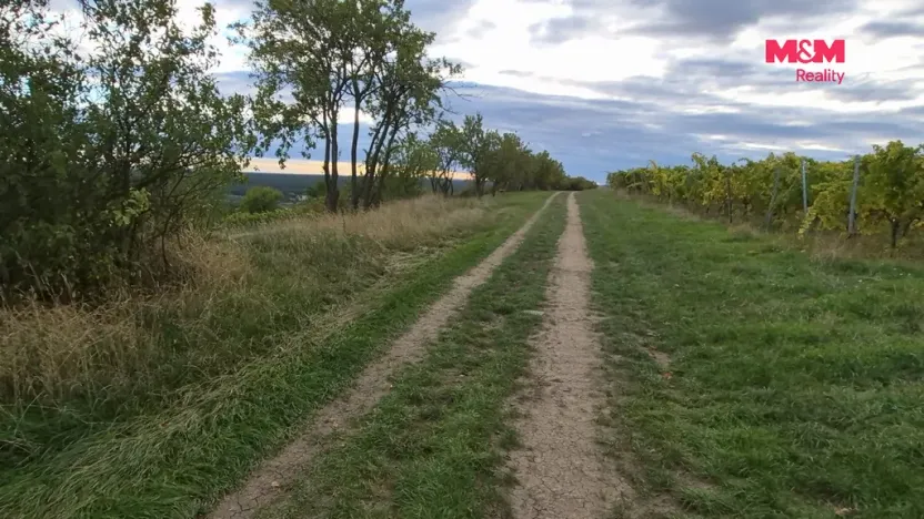 Prodej pole, Bzenec, 2653 m2