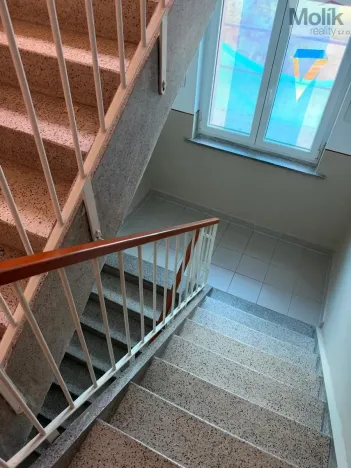 Prodej bytu 3+1, Litvínov - Horní Litvínov, U Zámeckého parku, 58 m2