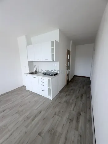 Prodej bytu 1+1, Ústí nad Labem - Neštěmice, Sibiřská, 42 m2