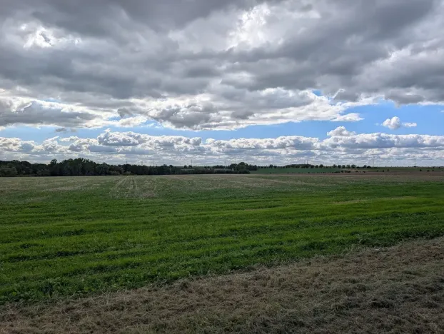 Prodej komerčního pozemku, 3825 m², Chýně