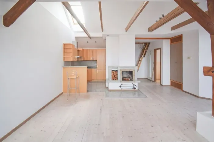 Prodej atypického bytu, Plzeň - Severní Předměstí, Křížkova, 68 m2