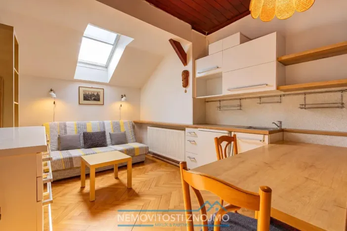 Prodej obchodního prostoru, Březí, Dunajovická, 630 m2