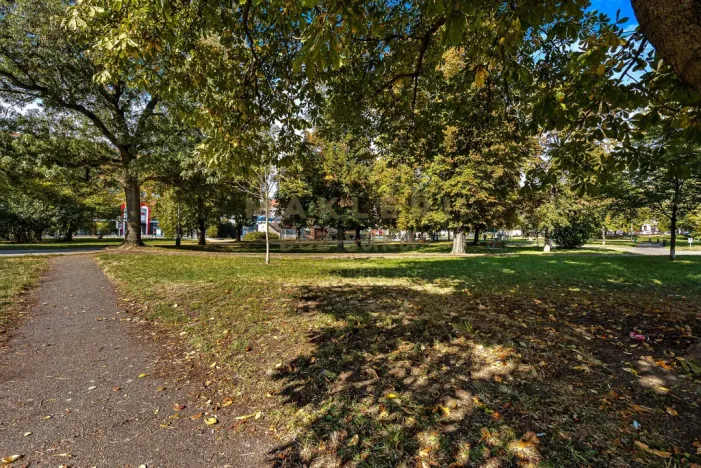 Prodej bytu 1+kk, Praha - Vysočany, Prouzova, 36 m2