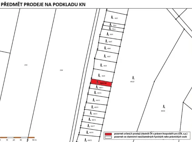 Prodej lesa, Radkovice u Budče, 204 m2