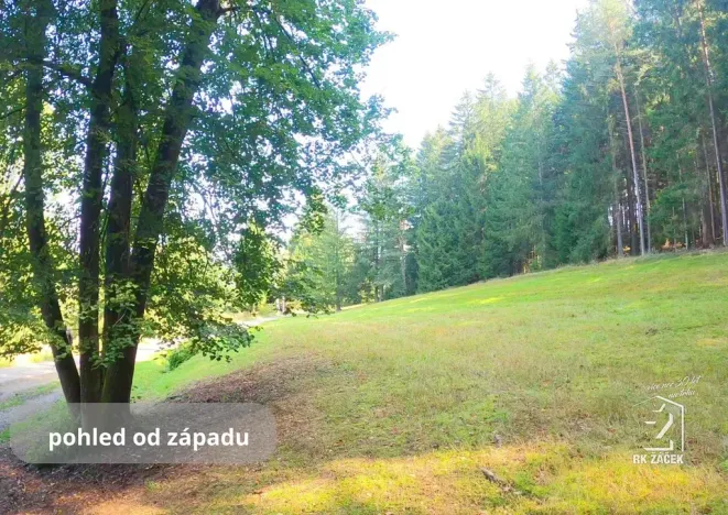 Prodej pozemku, Přední Výtoň, Frýdava, 2152 m2