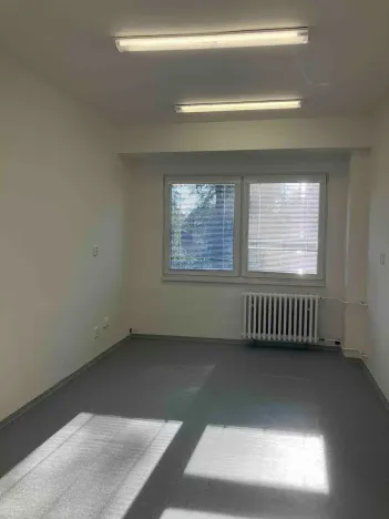 Pronájem lesa, 32 m², Alšova, Neratovice