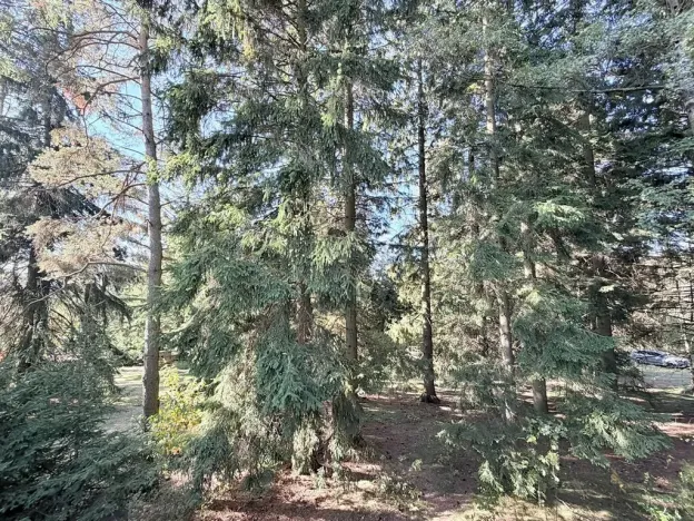 Prodej chaty, Borová, 53 m2