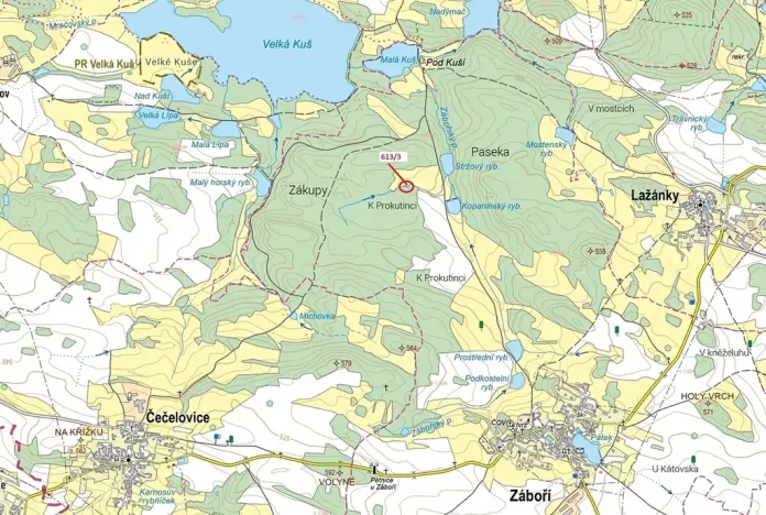 Dražba lesa, 180 m², Záboří