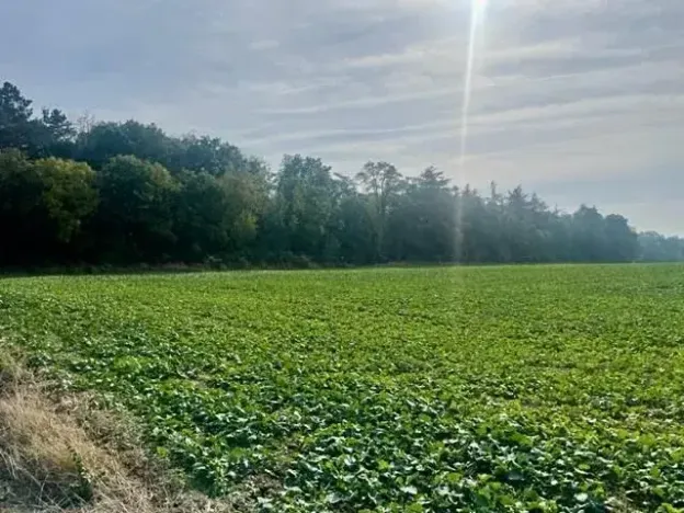Prodej pole, Praha - Liboc, Na Padesátníku I, 24066 m2