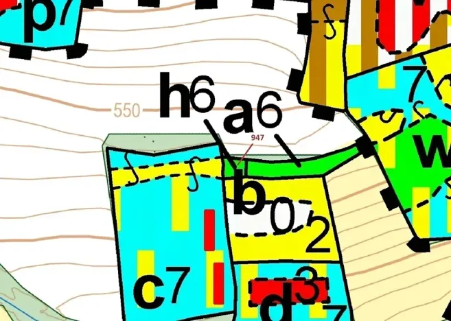Dražba lesa, Nezdřev, 126 m2
