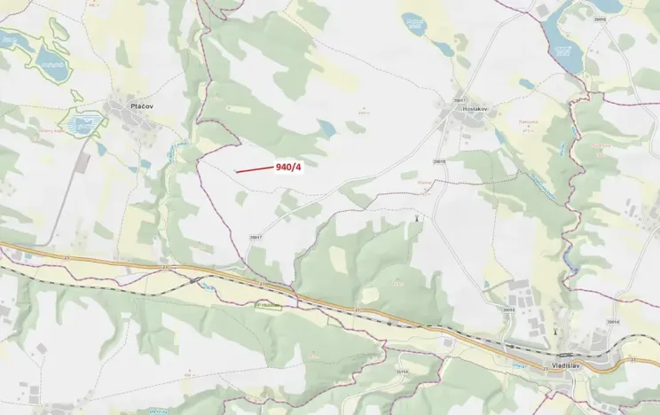 Dražba lesa, Vladislav, 591 m2