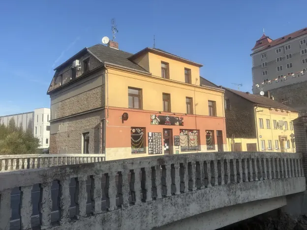 Prodej rodinného domu, Mladá Boleslav, Nádražní, 450 m2