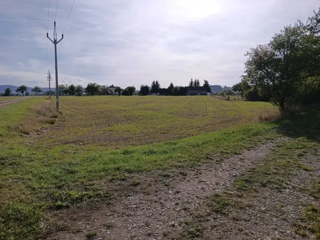 Dražba pozemku pro bydlení, Vrbice, 9030 m2