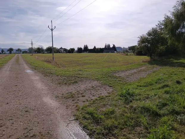 Dražba pozemku pro bydlení, Vrbice, 9030 m2